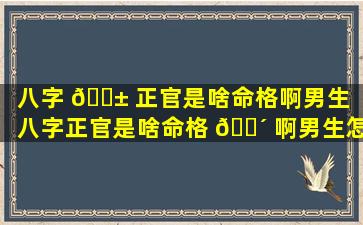 八字 🐱 正官是啥命格啊男生（八字正官是啥命格 🌴 啊男生怎么样）